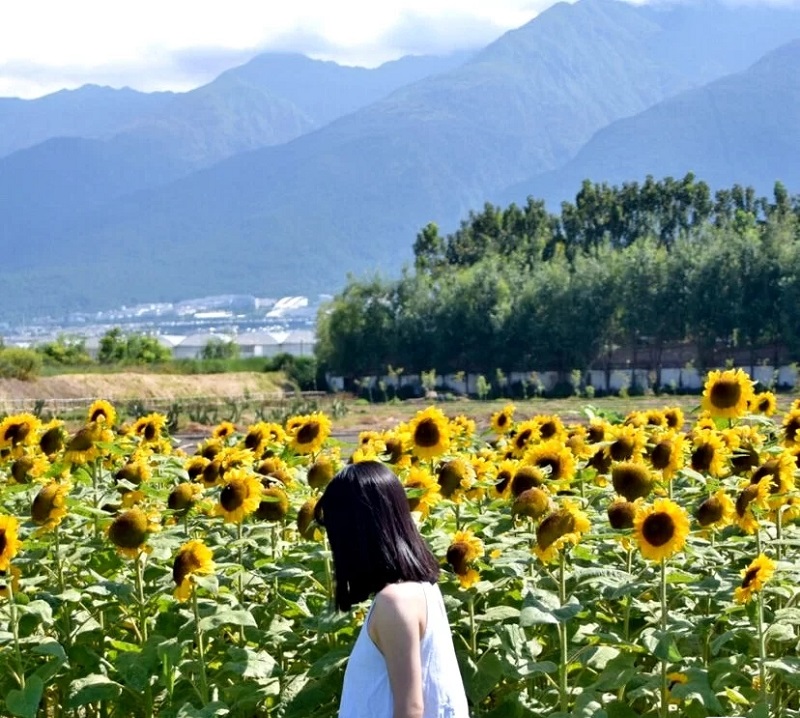 研學(xué)旅行課程設(shè)計的幾大分類，我們必須要知道