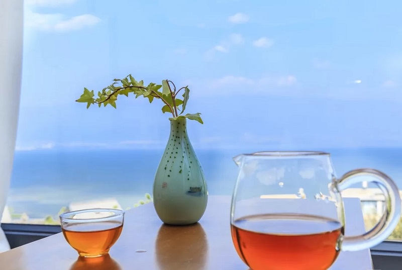 夏令營(yíng)的起源是什么？
