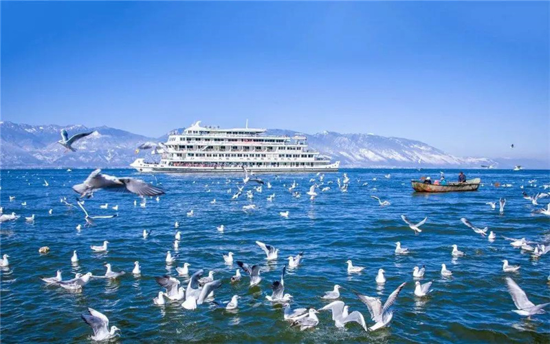 大理旅游 去表白吧！在大理這些美麗的湖畔