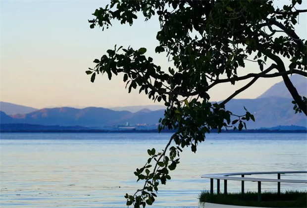 大理策劃公司:海舌，洱海邊的“寶藏公園”