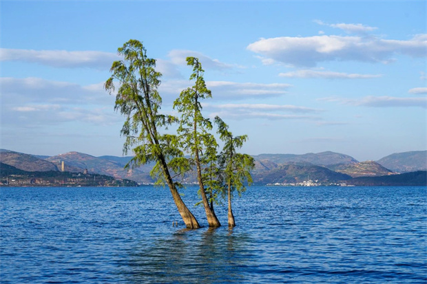 云南旅游,云南旅行社,云南團(tuán)建公司,云南策劃公司,云南會(huì)議會(huì)展,云南旅游地接,大理旅游,大理旅行社,大理團(tuán)建公司,大理策劃公司,大理會(huì)議會(huì)展：避暑，為什么要去大理？