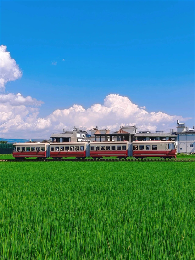 大理旅游,大理旅行社,大理團(tuán)建公司,大理策劃公司,大理會(huì)議會(huì)展,云南旅游,云南旅行社,云南團(tuán)建公司,云南策劃公司,云南會(huì)議會(huì)展：坐上喜洲稻田小火車，一秒進(jìn)入動(dòng)漫畫卷