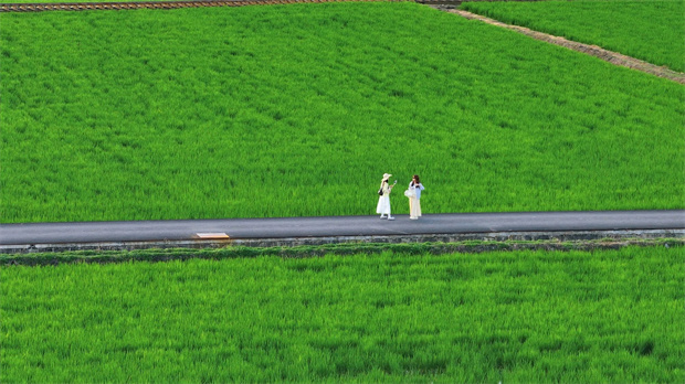 云南旅游,云南旅行社,云南團(tuán)建公司,云南策劃公司,云南會(huì)議會(huì)展,大理旅游,大理旅行社,大理團(tuán)建公司,大理會(huì)議會(huì)展：去大理，坐上那趟心愛的小火車