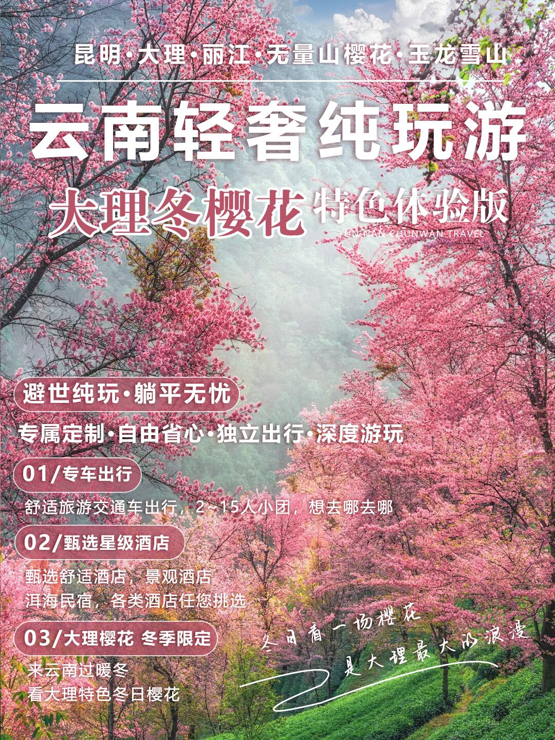 純玩小團人均1k+解鎖大理冬櫻6日游你不知道的秘密賞櫻地大理冬櫻寒假快沖！